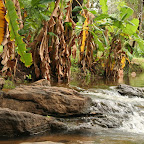 Popa rapids