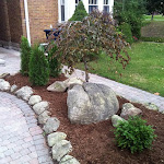 New plants and stone border added to front lawn.