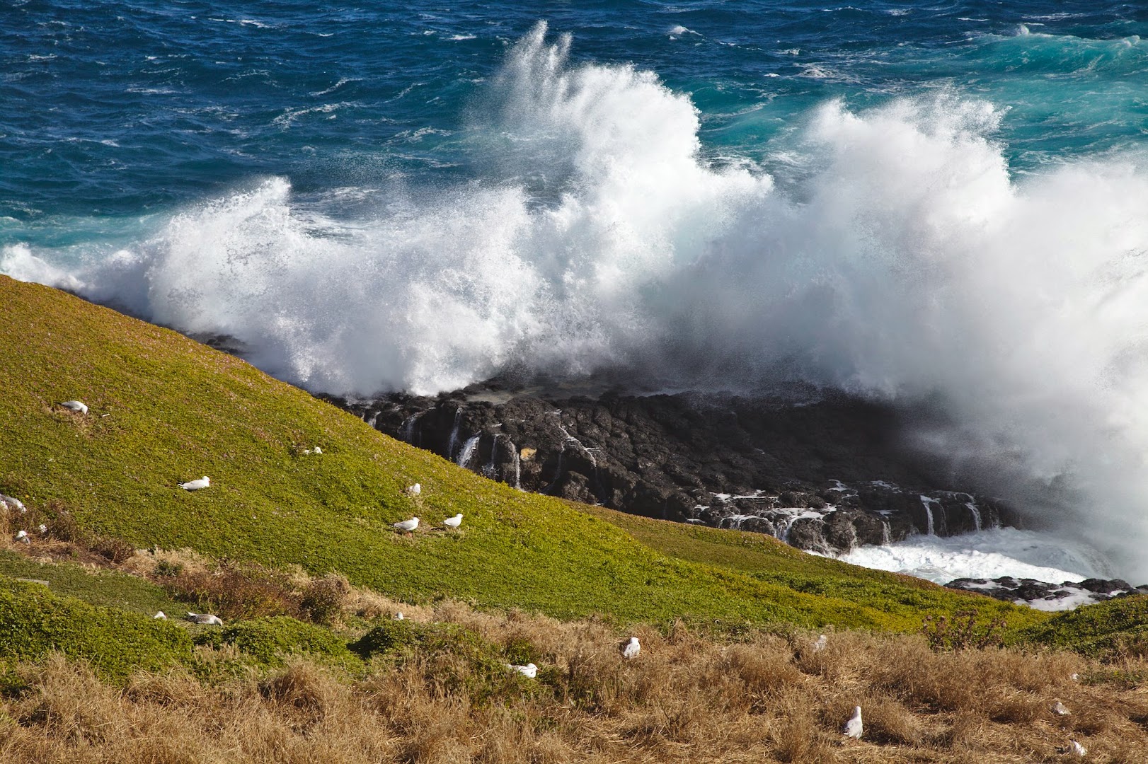 Philipp Island, south of Melbourne,  has some serious weather