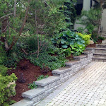 Driveway after landscaping