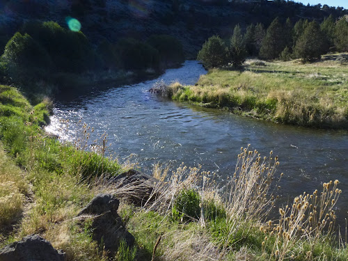 Page Springs Campground, Frenchglen, OR