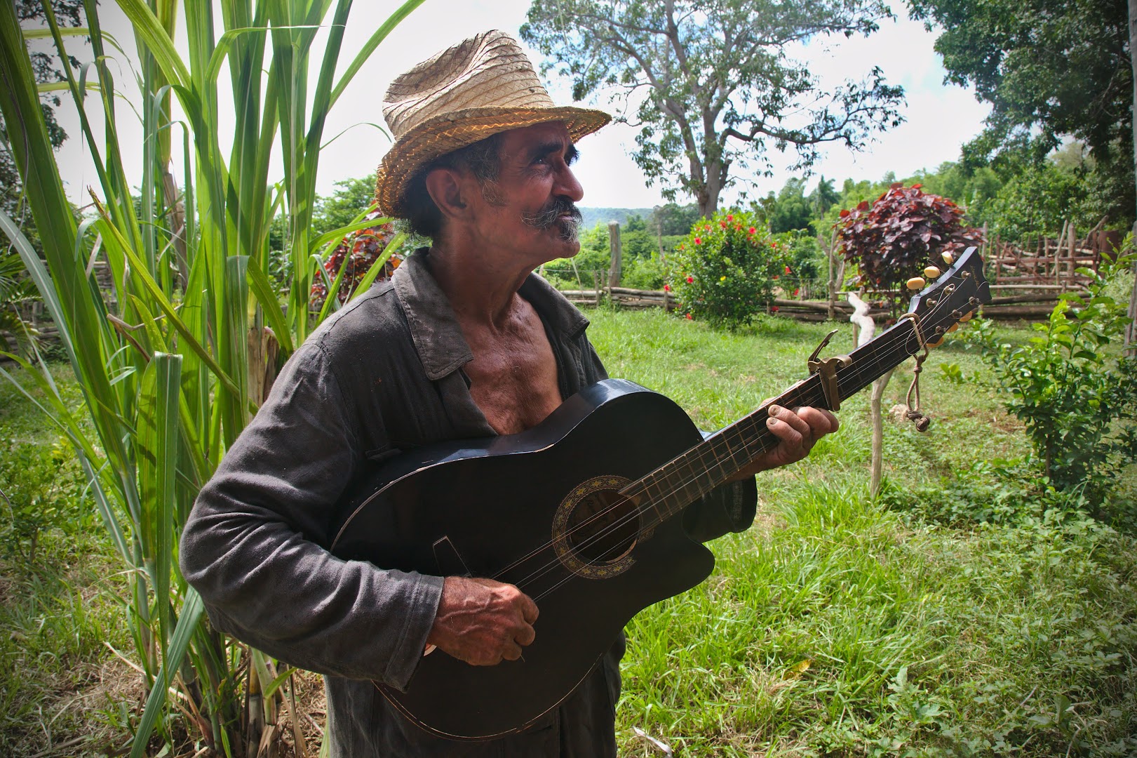 "Guantanamera, Guanta-namera"