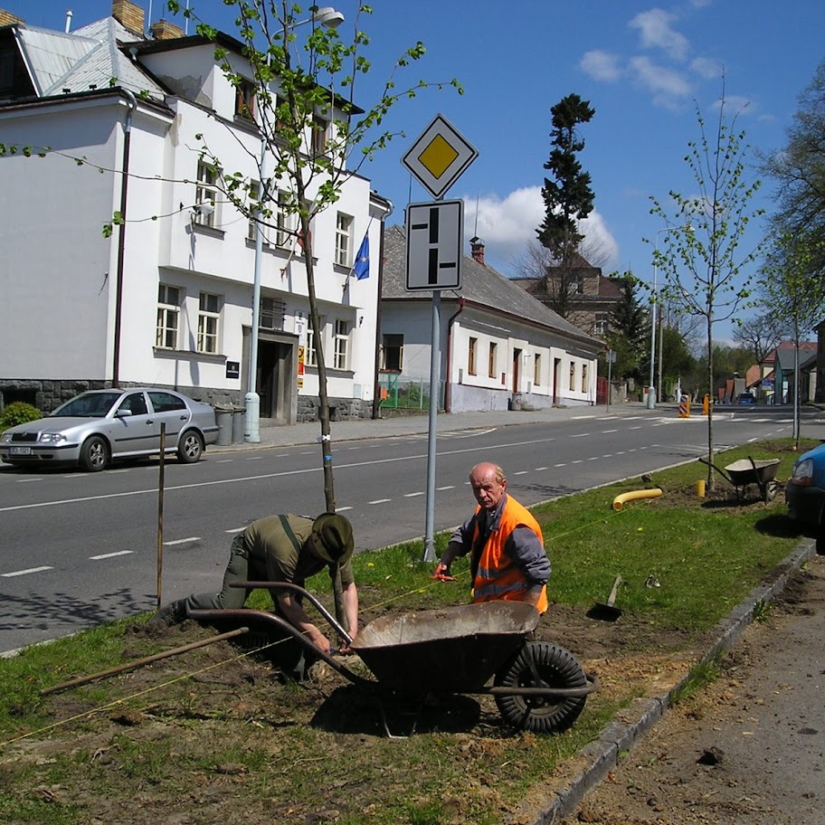 Kácení stromů na náměstí - P1...