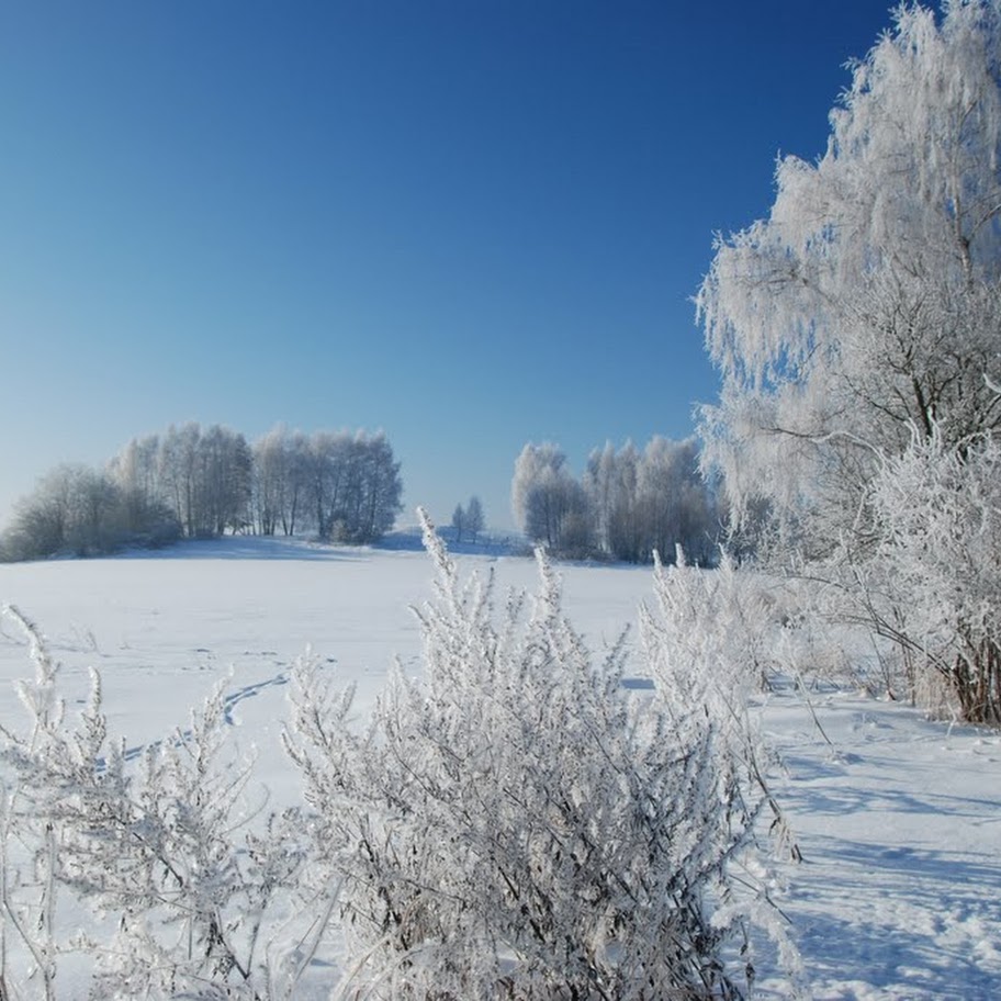 Ladovská zima 2010 - DSC_1557