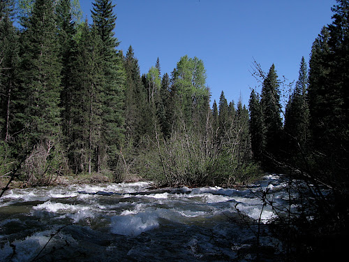 westfork_sanjuanriver - 10