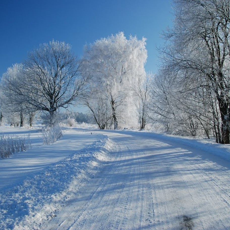 Ladovská zima 2010 - DSC_1548