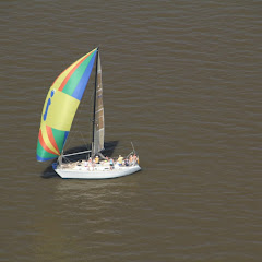 Dauphin Island Race 2013 068