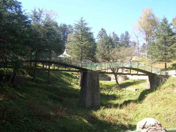 inside Himalayan National Park Kufri