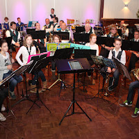 Volharding Nieuwjaarsconcert2016_06