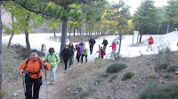 PER LA SERRA DE BAZA-CEA.-9 a 12-X-2015 302