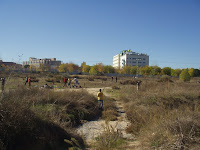 Fotos Plantacion con Ecocampus 2008 003