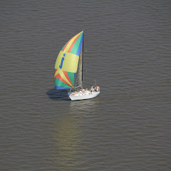 Dauphin Island Race 2013 067