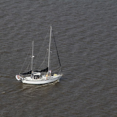 Dauphin Island Race 2013 013