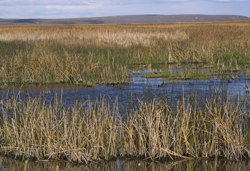 Malheur National Wildlife Refuge, Oregon