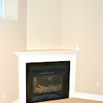 Fireplace installed in a basement