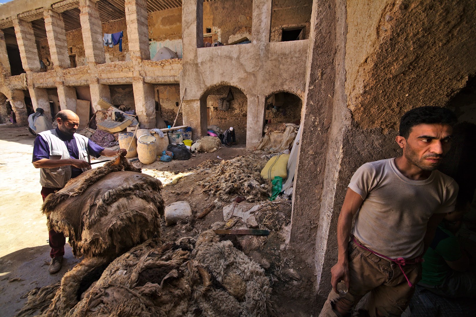 Fes has many animal skin workshops