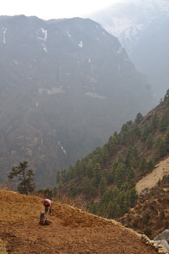 Farming in Himalayas at 3500m