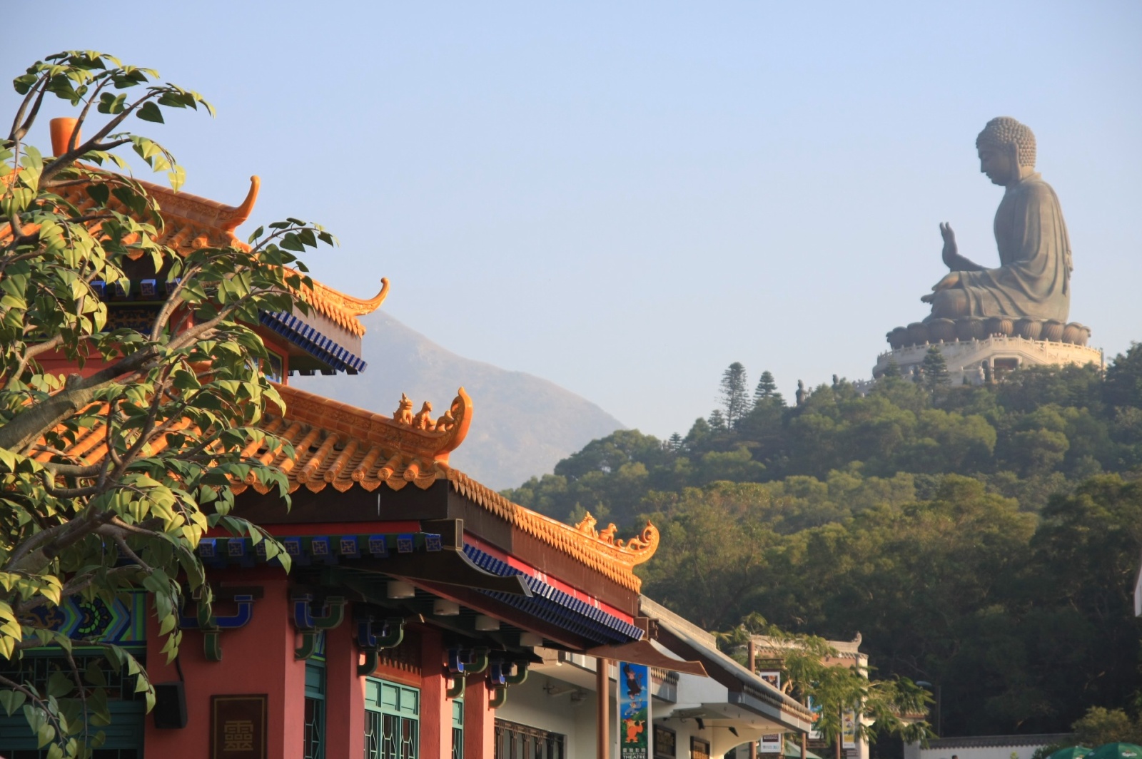 The guy looks magical in the lush green mountains of Lantau