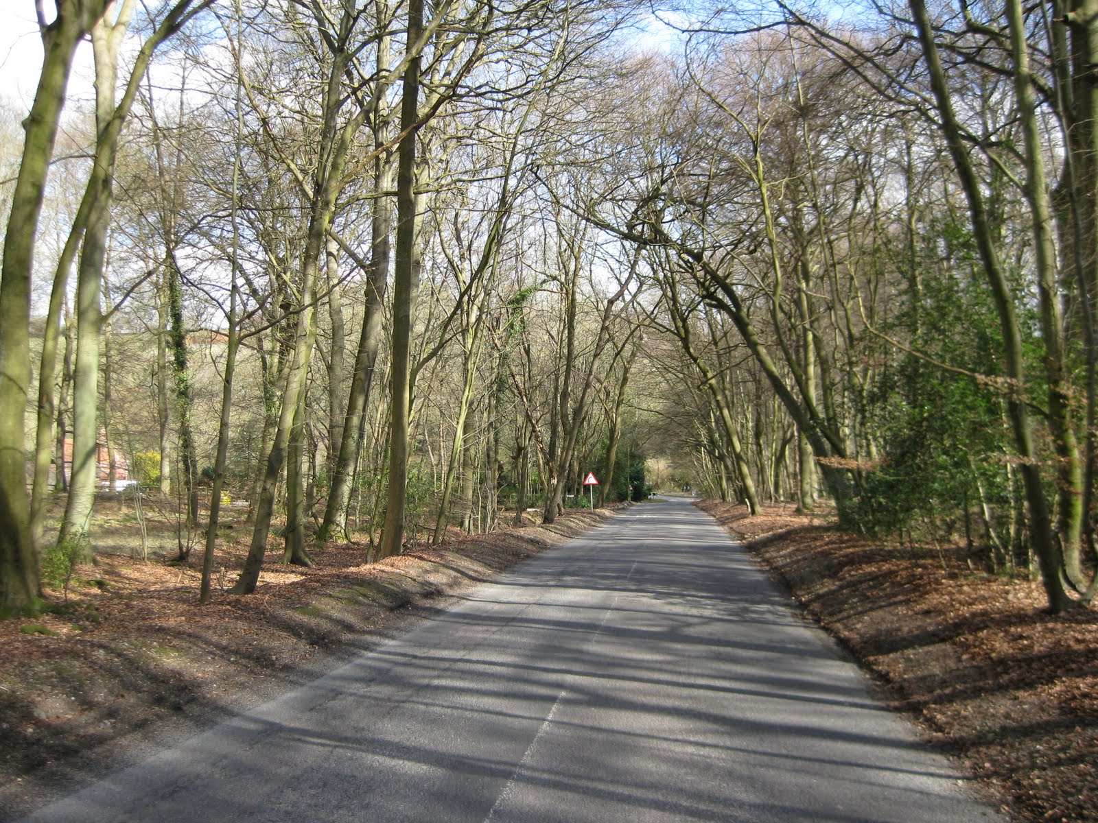 Country lanes