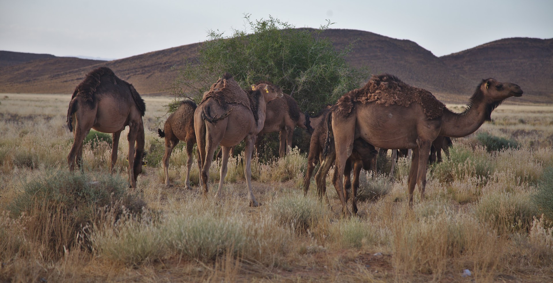 Morocco