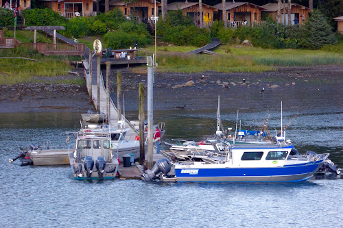 Fishing camp and bald eagles, Alaska Inland Passage