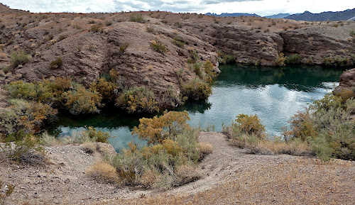 Cattail Cove State Park, Arizona