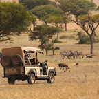 Guided game drive