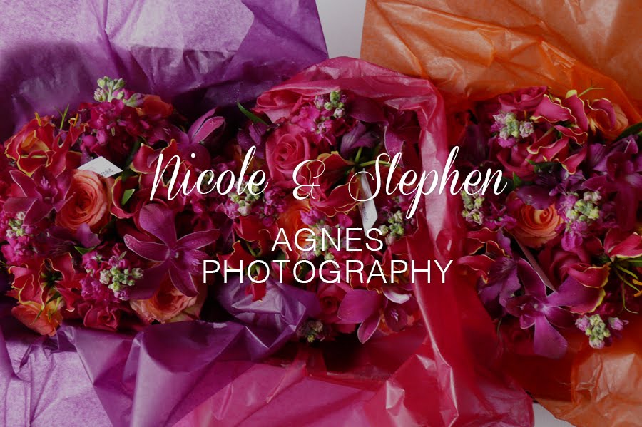 Nicole & Stephen by Agnes Photography