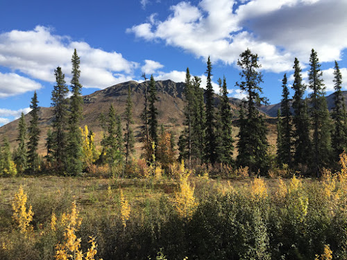 Autumn color on the Dempster Hwy.