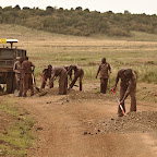 Fixing the park roads