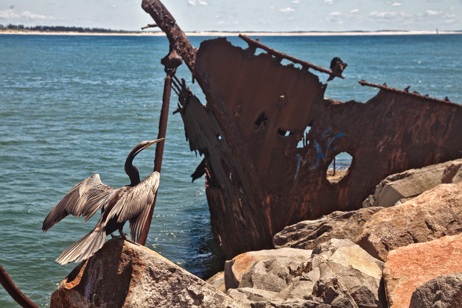 Newcastle has lots of shipwrecks