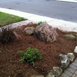 New plants and stone border added to front lawn.