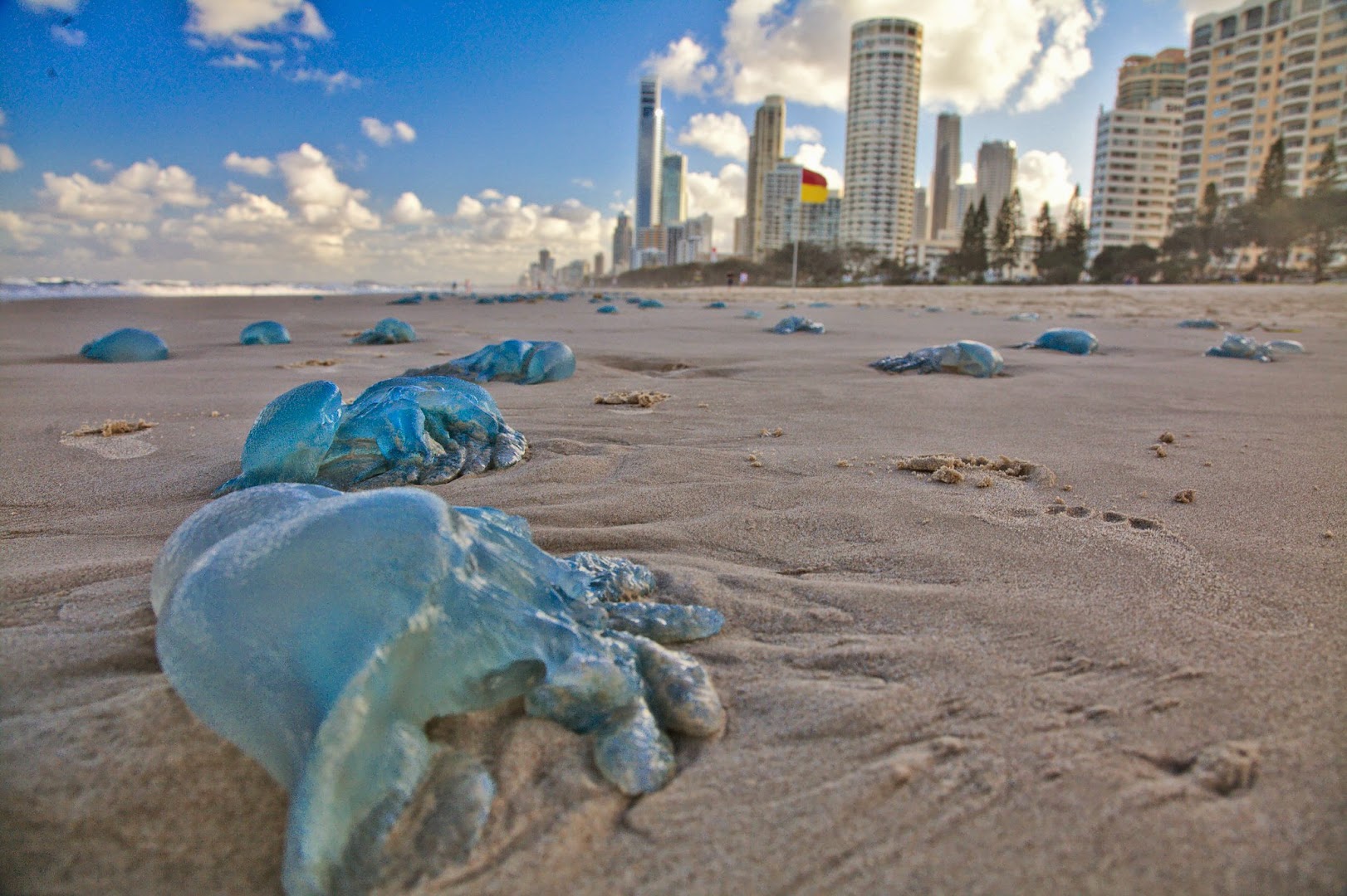 A no-swim day at Gold Coast