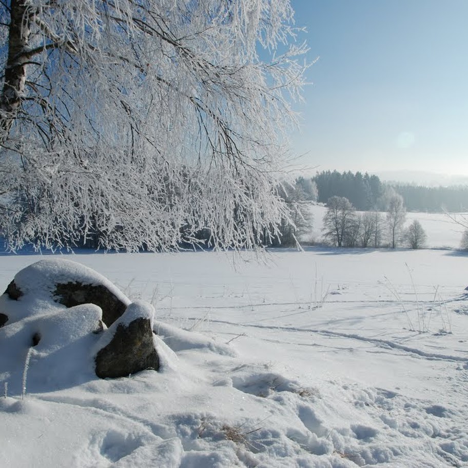 Ladovská zima 2010 - DSC_1601