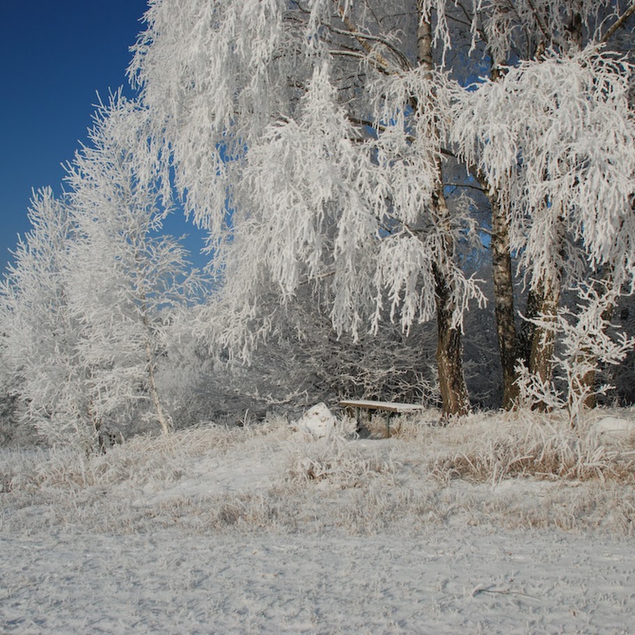 Trhovka 2008 - DSC_4658