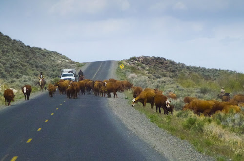 Page Springs Campground, Frenchglen, OR