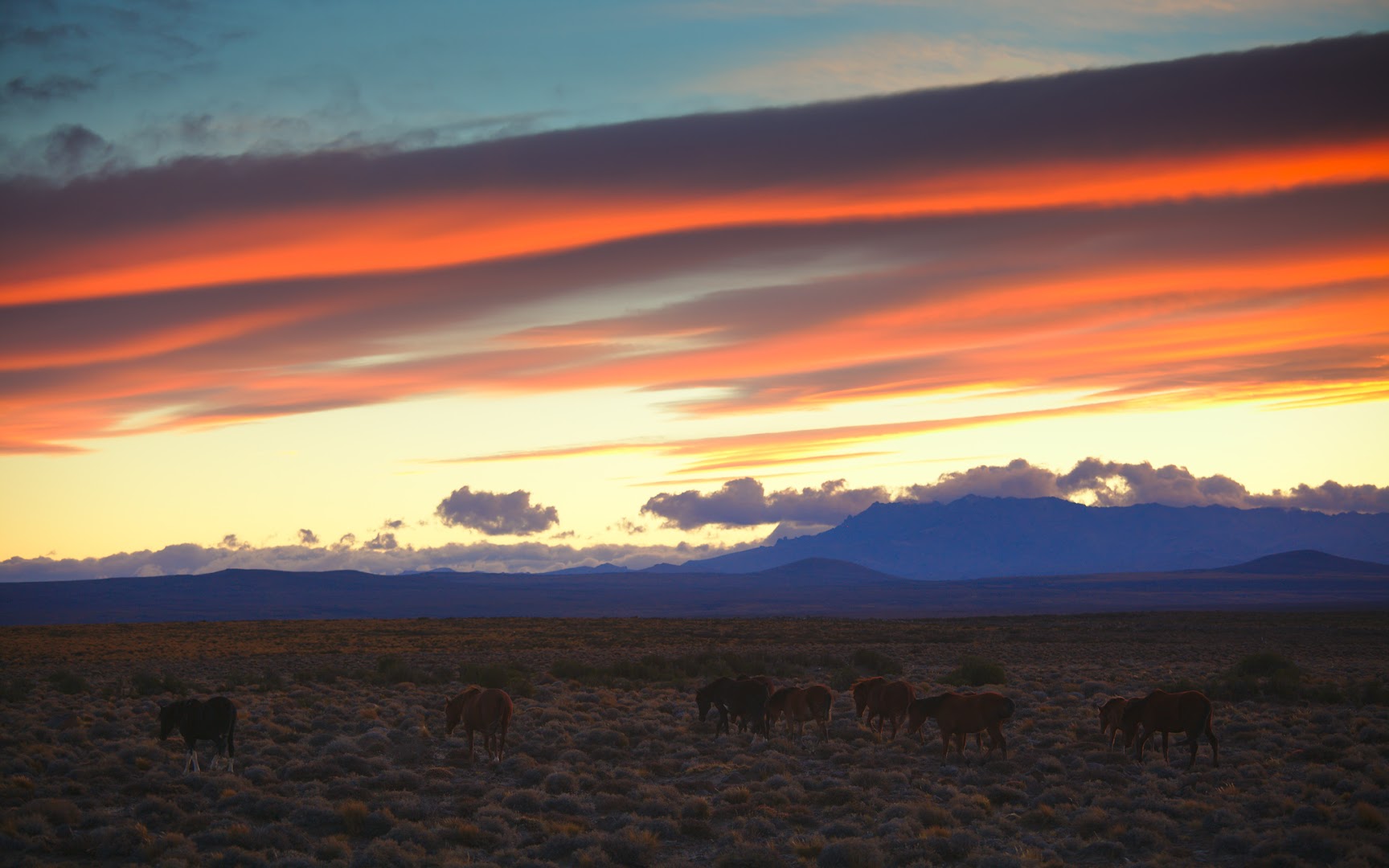 Argentina