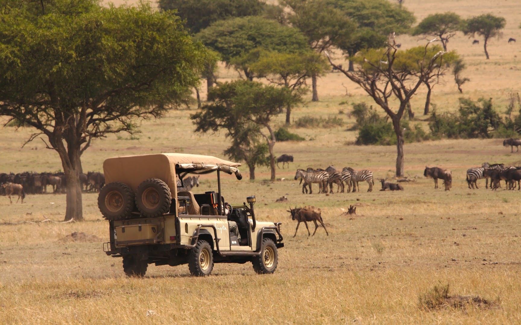 Guided game drive