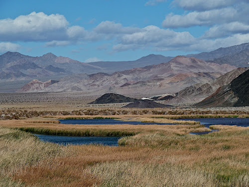 Death Valley: Saratoga Springs located in the southern part of the park.