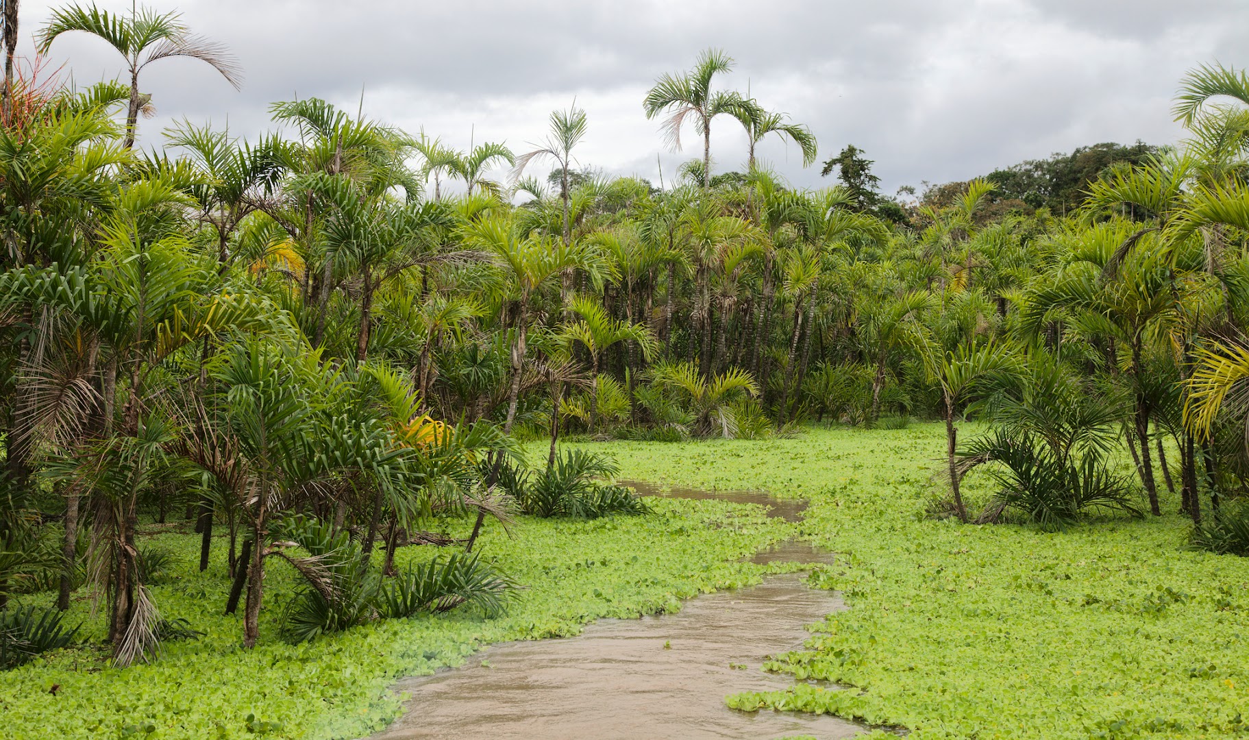 Peru