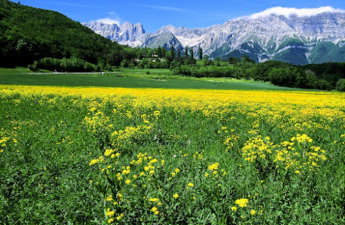 35420026 - Spring in the French Alps; 2002, May; France, near Gap