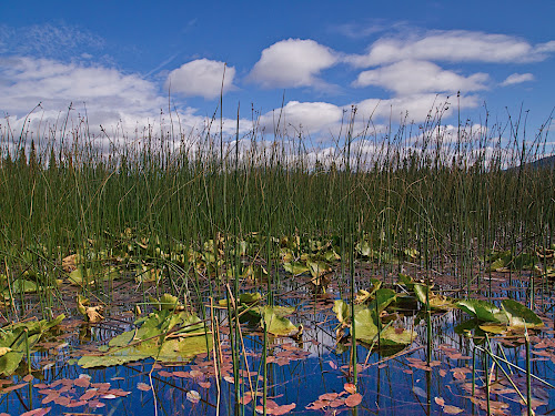 Kayaking on Hosmer Lake, near Bend, OR.