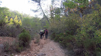 RUTA DE LES CAVES-CEA.-9-X-2016 054