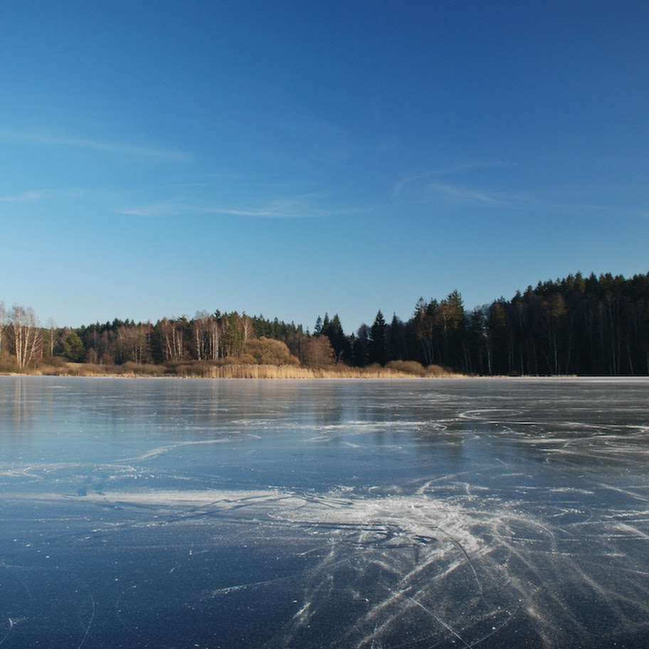 Trhovka 2008 - DSC_4658x