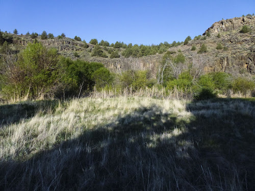 Page Springs Campground, Frenchglen, OR