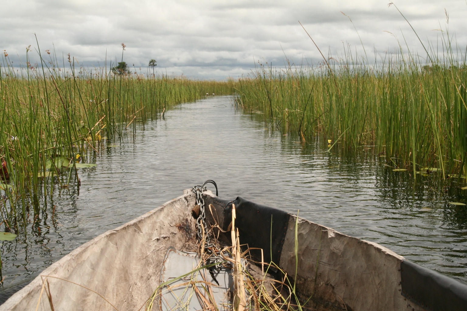 Flowing through the Okavango Delta