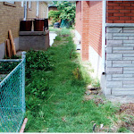 Area near house where waterproofing will be done