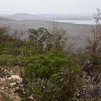 Guantanamo prison is there in the fog