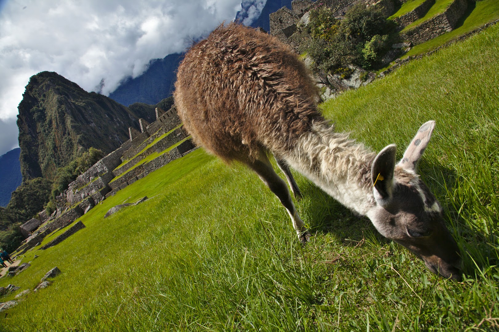 Peru