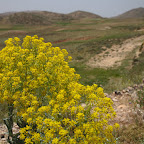 Highland meadows - Morocco has very diverse landscapes